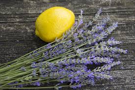 Lemon and Lavender are two crucial ingredients to this anti-mosquito recipe.